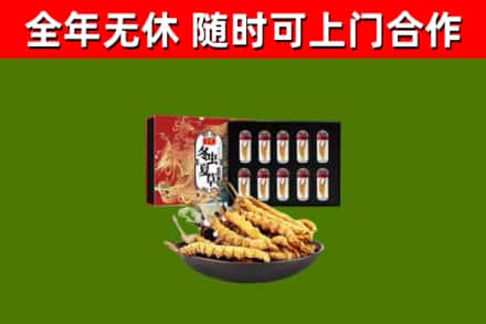 建华区烟酒回收冬虫夏草礼盒.jpg