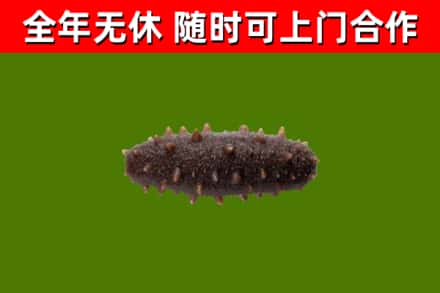 建华区烟酒回收干海参.jpg