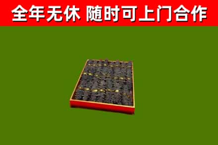 建华区回收海参